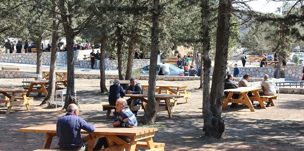 Taşkent Piknik Alanı'nda çam ağaçları altında ahşap piknik masaları, arkada taş duvarlar ve ziyaretçiler