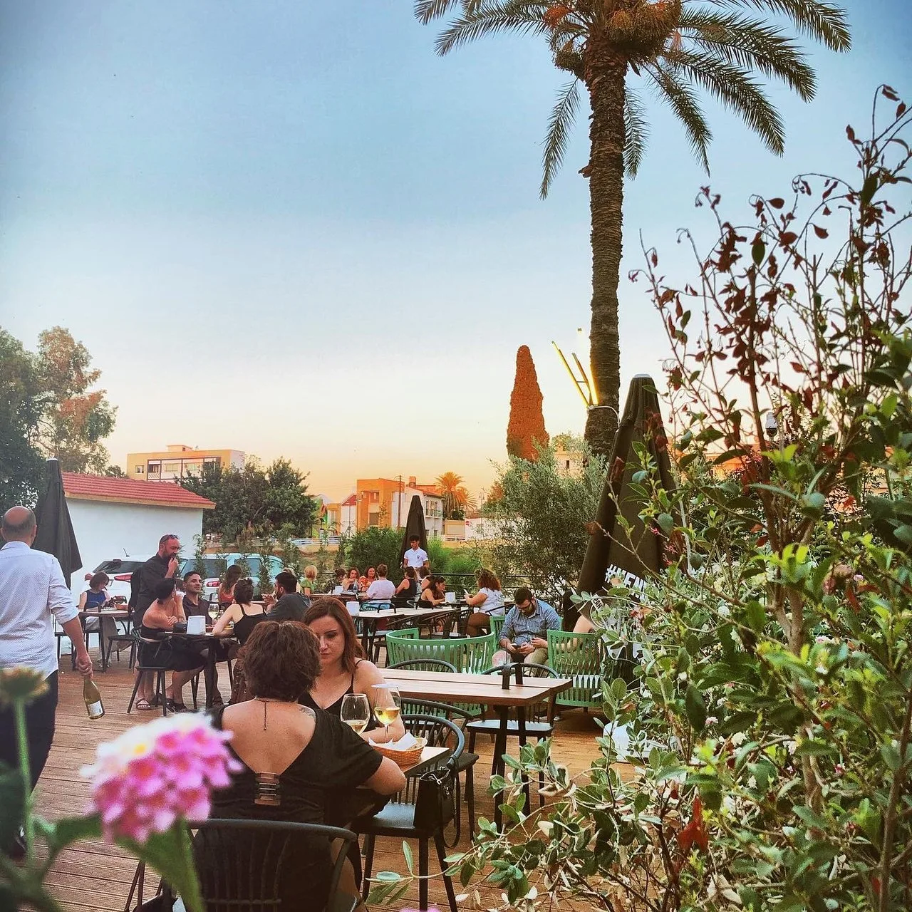 Garden terrace of MOD Cafe & Bistro in Lefkoşa at sunset, with diners at tables under a tall palm tree