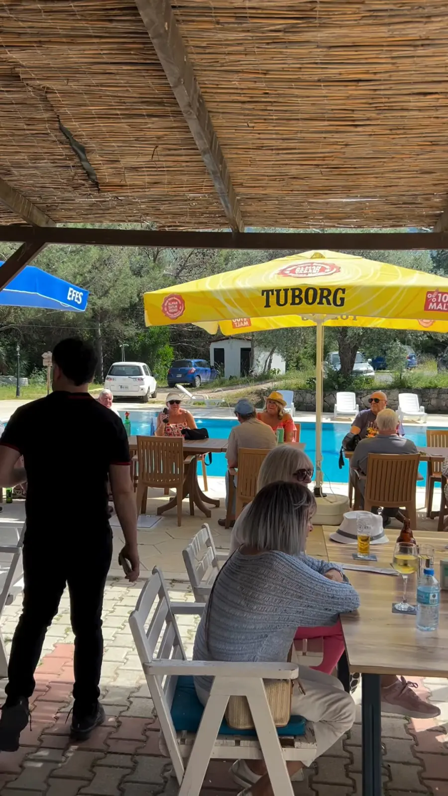 Guests at tables under the reed-shaded terrace of Habana Pool Bar in Alsancak, with the pool and pine trees behind