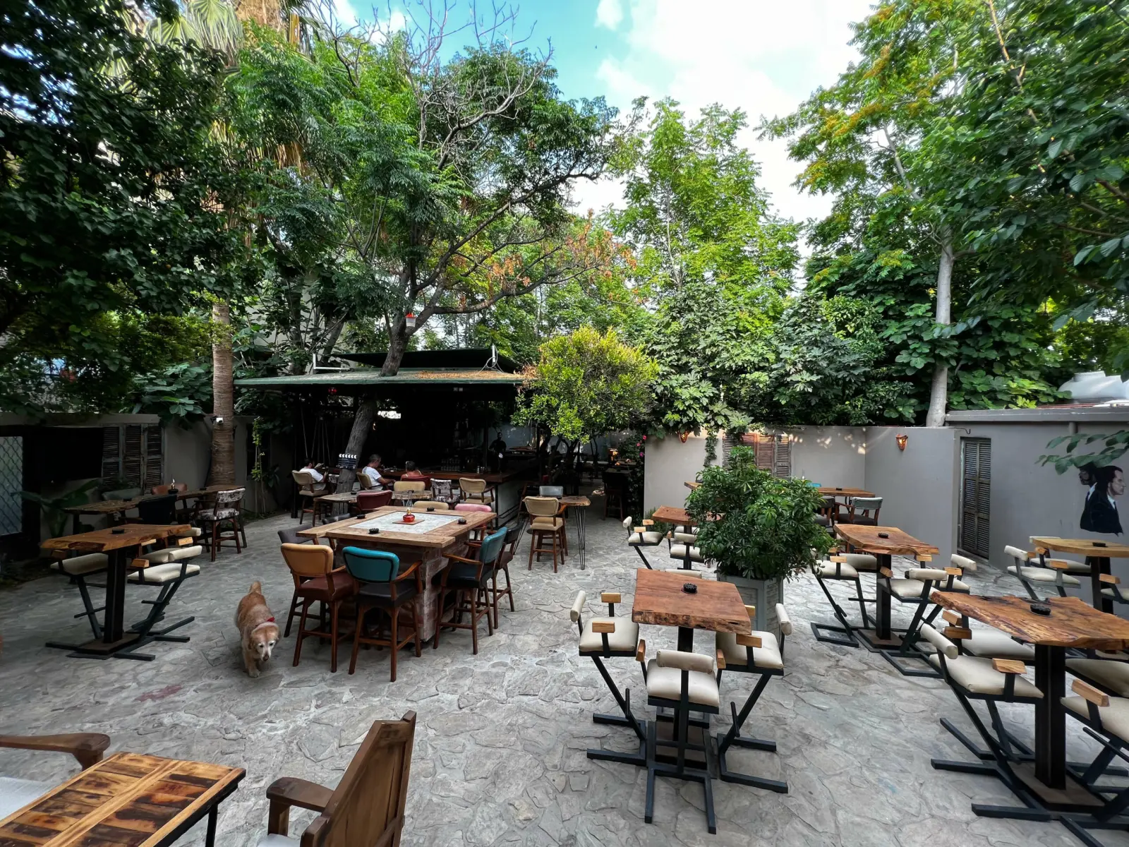 Avlu Bar Girne's tree-shaded courtyard with wooden tables and the bar hut, Girne