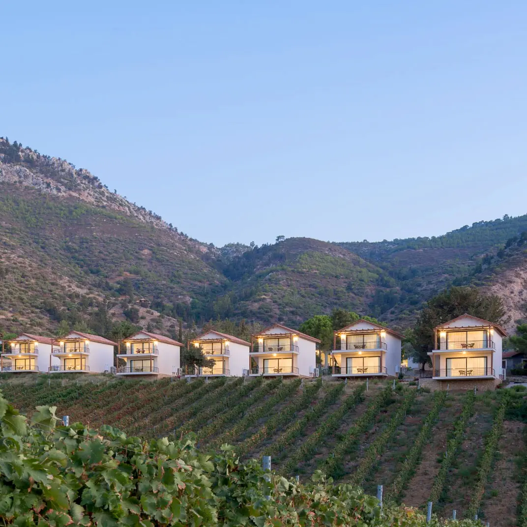 Gillham Vineyard Hotel's white villas above rows of vines, with the Kyrenia mountains behind at dusk